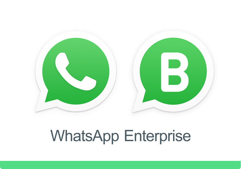 WhatsApp Business APi